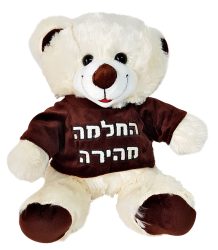 דובי החלמה מהירה