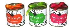 מתנה לפסח- אביביות