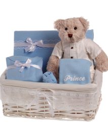 TEDDY  בייבי סלסלה